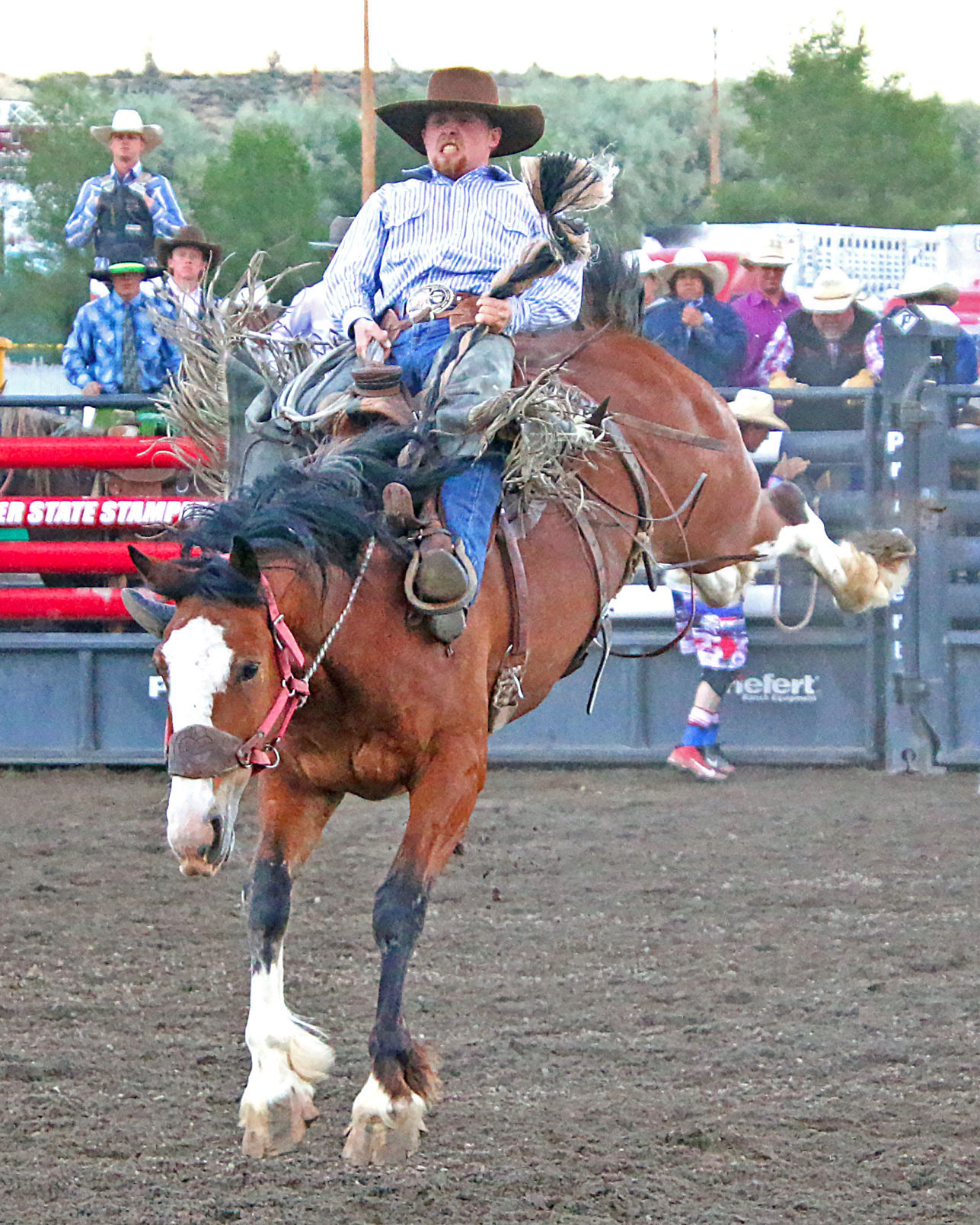 061020-elk-spt-jake-eary-memorial-rodeo-wyatt-williams.jpg